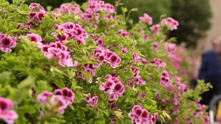 Savoir gérer son temps