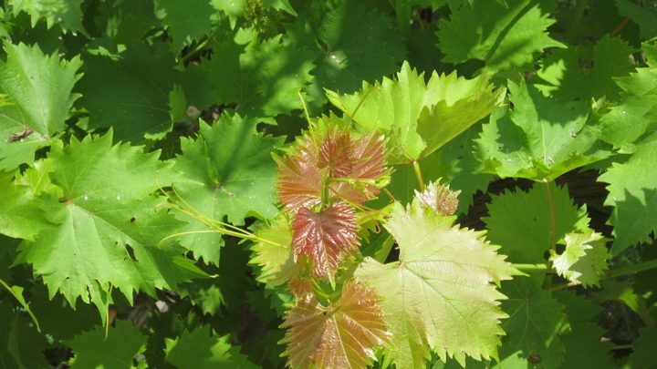 Bien-être au quotidien : nos conseils !