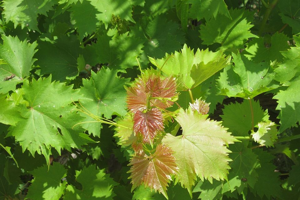 Bien-être au quotidien : nos conseils !