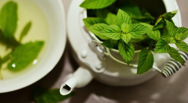 Quelles sont les vertus de la menthe?