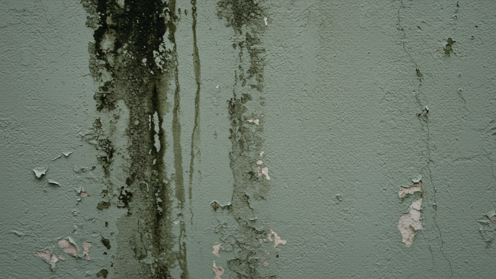 Murs humides : les solutions efficaces pour assainir votre maison