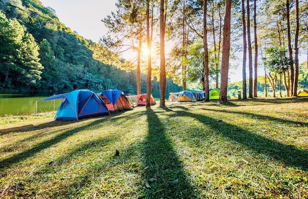 Normes de sécurité en camping : l&rsquo;importance de l&rsquo;accessibilité et de l&rsquo;évacuation